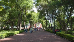 X2MZAIF2GJDDBA3XICULOJTNBI