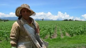 6R3SMICA5FCLZNCY5MNKZWURPY