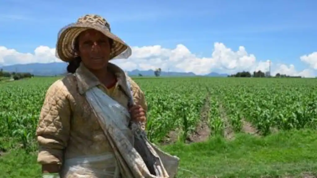 6R3SMICA5FCLZNCY5MNKZWURPY