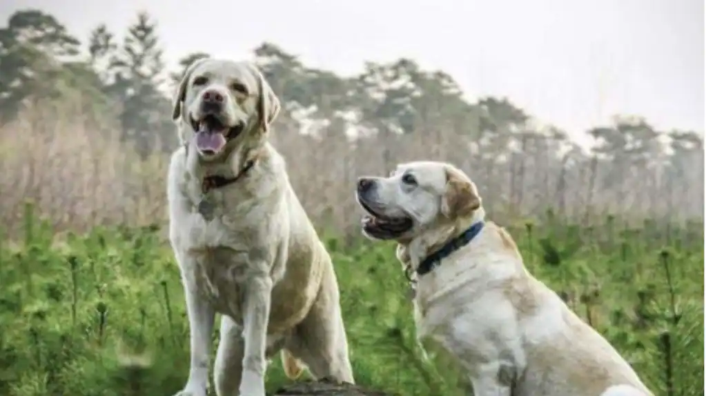 FKW3R2L4F5GKPIYFWTJPFJQJLQ