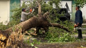 H67UMQWCKVDIXCTGDQZ64OEP2U