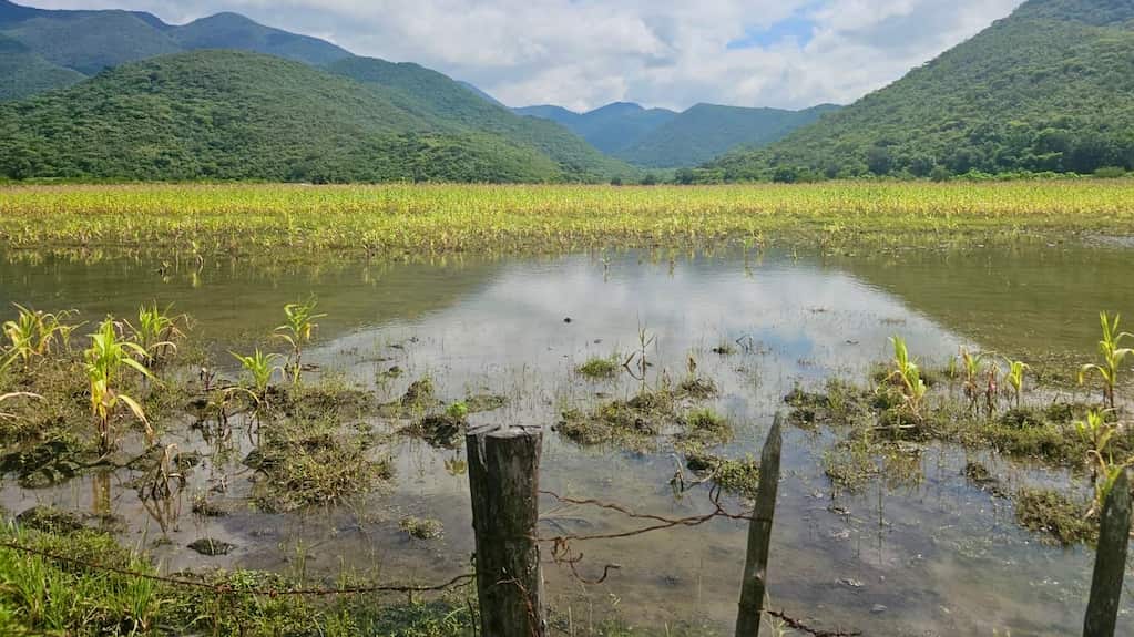 MHZQLKRWNJEZHPRNRBOWW6UTZU