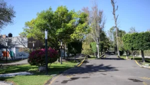 HTZQYXWKYZEL3G52AG344TPKTA