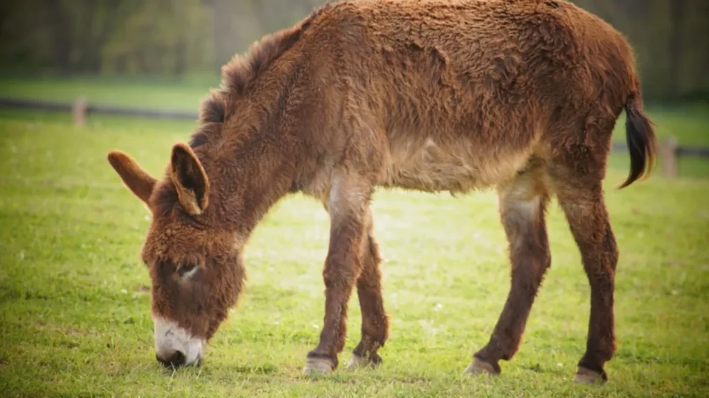 VHB7J2JXWZCVJOLJ7LMJS52VHI