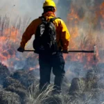 Querétaro registra alza en incendios forestales