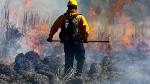 FSYCPVT2PBC6VLO4OTW5O4VQLI