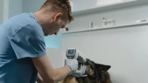 ONYP4ORLKBDUNOR73WHKUM624Q