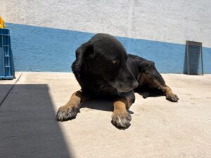 669922202_18174730387402351_263821525729142660_n