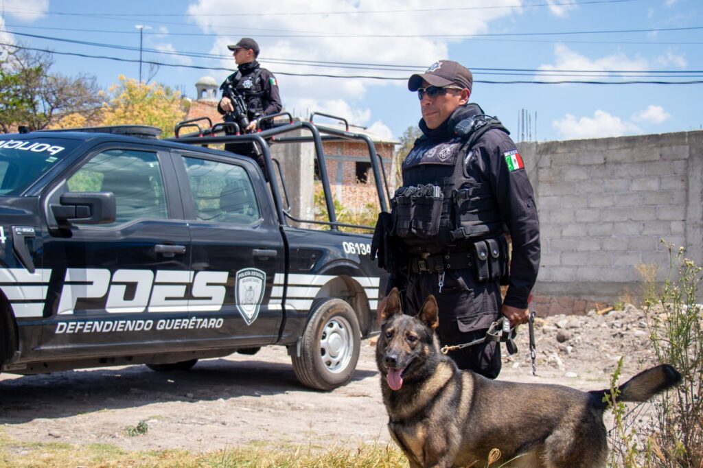 71_273_51240_24779265_ENSU_2026_POES_(1)