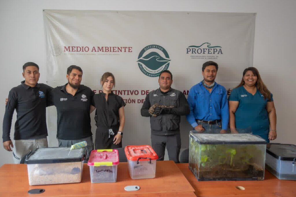 noticia_20260525215902