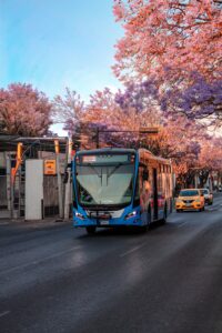 pexels-christian-israel-palacios-resendiz-228508197-36441058