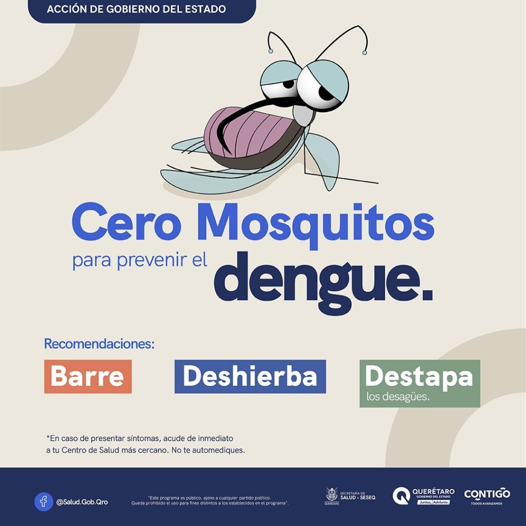 MASTER_DENGUE 2025 MOSQUITO