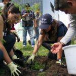 Querétaro reforesta con 40 árboles