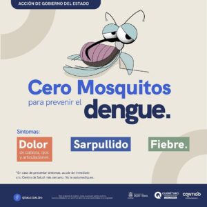 MASTER_DENGUE 2025 MOSQUITO