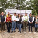Querétaro avanza en reforestación