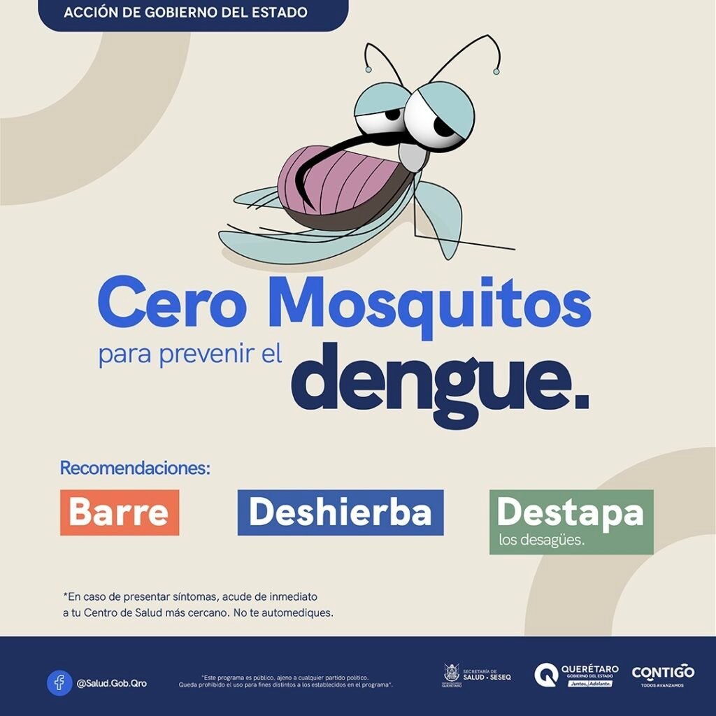 MASTER_DENGUE 2025 MOSQUITO