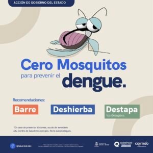 MASTER_DENGUE 2025 MOSQUITO