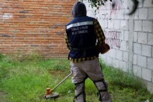 noticia_20261026150715